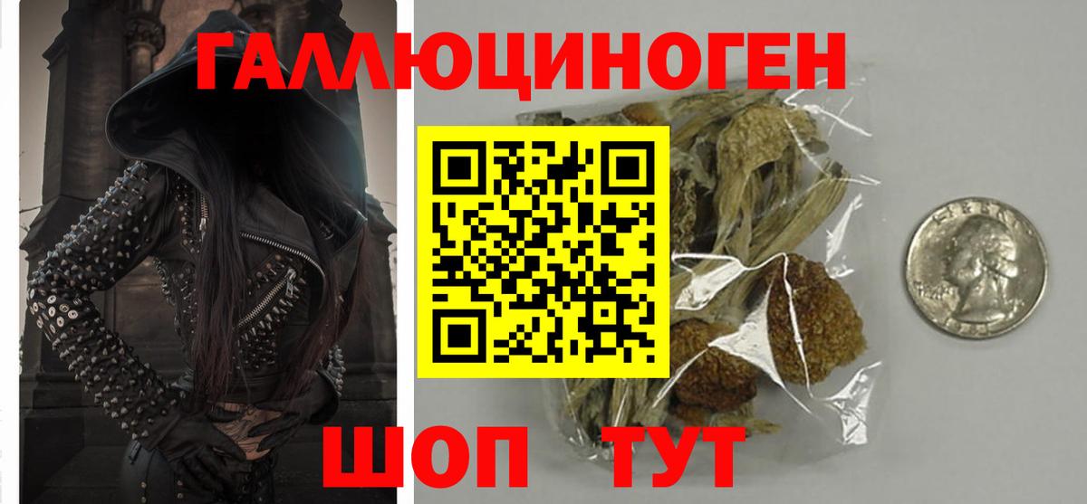 Псилоцибиновые грибы Psilocybe Ижевск